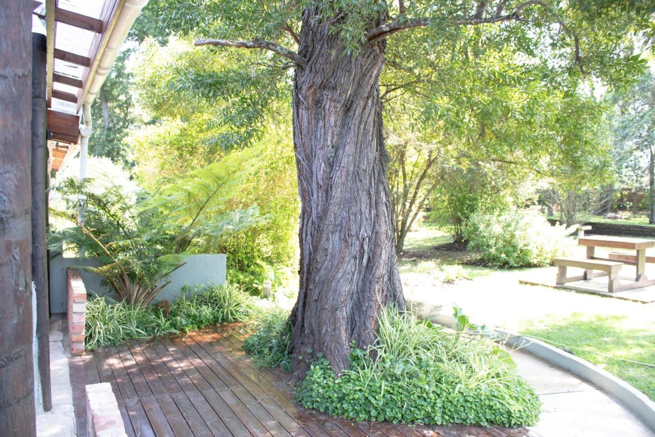 Andelomi Nature'S Rest 斯托姆勒菲 外观 照片