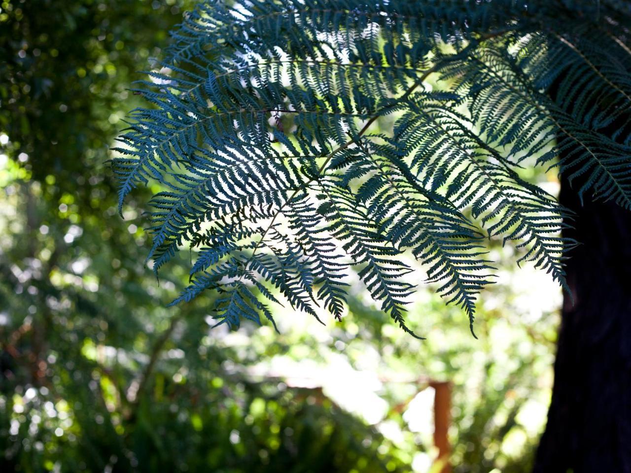 Andelomi Nature'S Rest 斯托姆勒菲 外观 照片